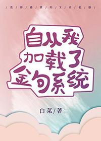综自从我加载了金句系统