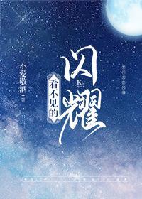 看不见的闪耀晋江