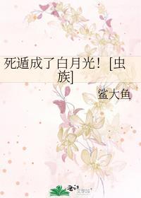 窈窕春光高干1v1文笔趣阁全文阅读