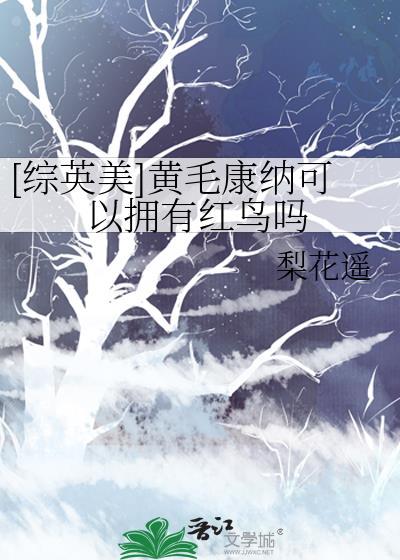 黄毛康纳可以拥有红鸟吗txt