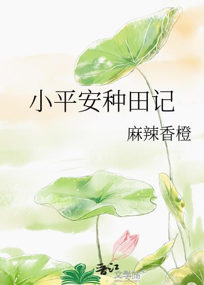 小平安是什么