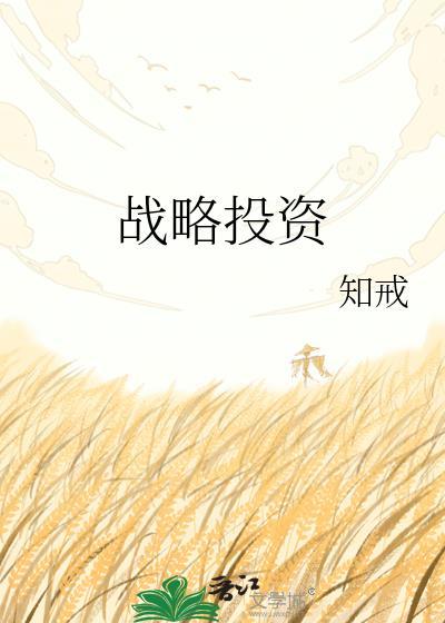 战略投资和股权投资的区别