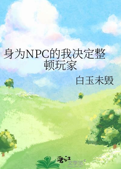 身为NPC的我决定整顿玩家TXT林确
