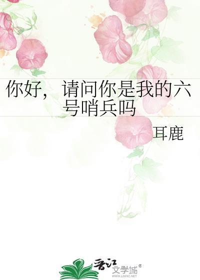 你好请问你是我的6号哨兵