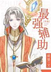 最强辅助(全息)txt
