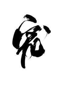 白月光失忆后成了我的影卫免费阅读