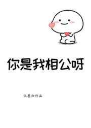 我是你相公by沐阳子