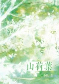 山荷叶合剂治疗三高