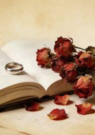 申请代驾怎么申请?