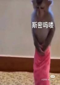泡芙小姐真人原型