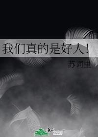 我们是好人翻译