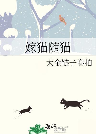 嫁给猫咪