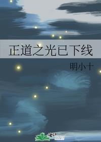 正道之光是啥意思
