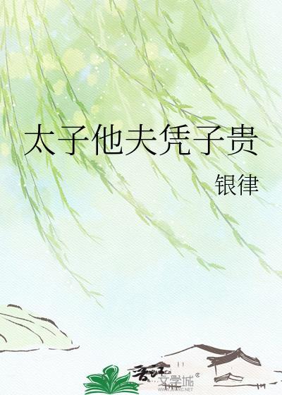 太子他夫凭子贵殷晚枝