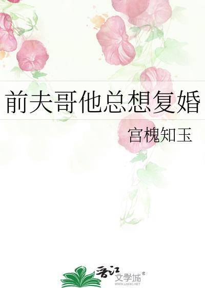 前夫哥他总想复婚by