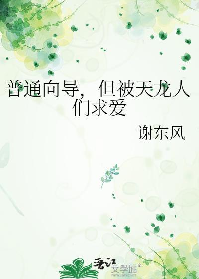 普通向导但被天龙人们求爱