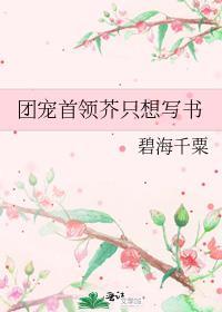 团宠只娶夫全文阅读