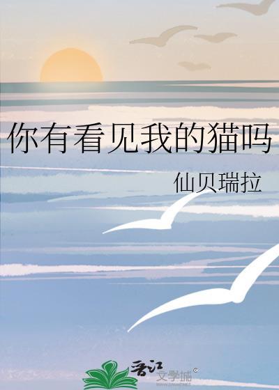 你能看见一只猫吗