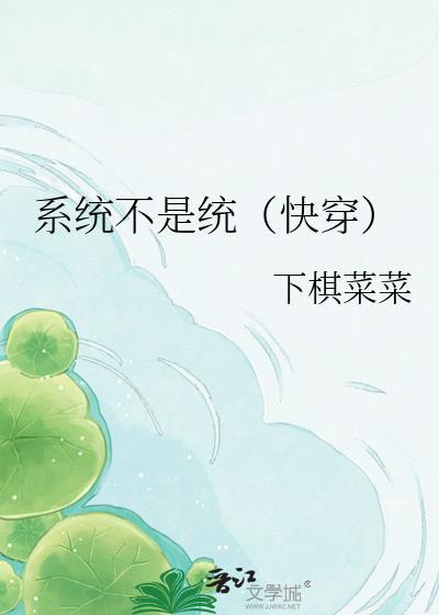 系统buage