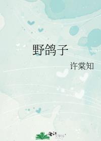 野鸽子有毒吗