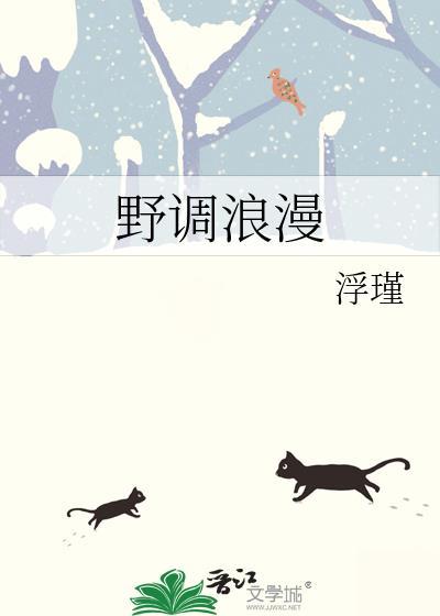 浪漫野心家正确解释