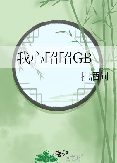 我心昭昭gb把酒问百度