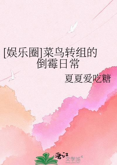 菜鸟转换器