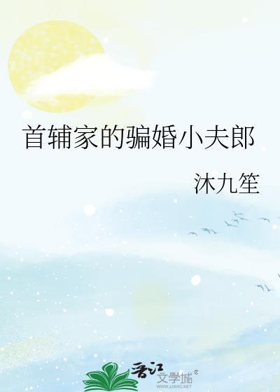 首辅家的骗婚小夫郎by沐九笙全文免费阅读