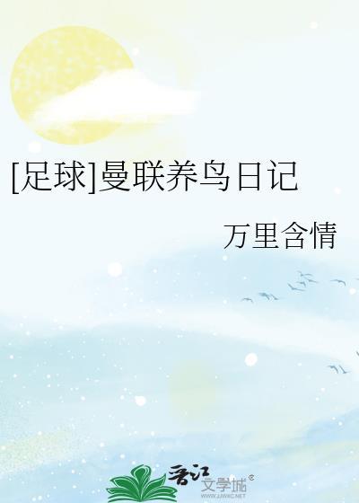 足球曼联养鸟日记TXT