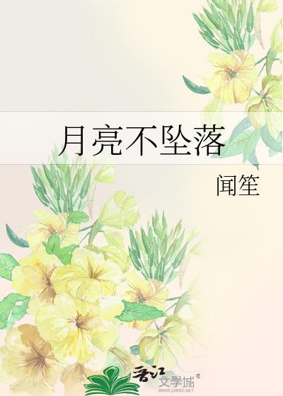 月亮不坠落txt附带番外
