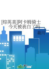 阿卡姆骑士设定