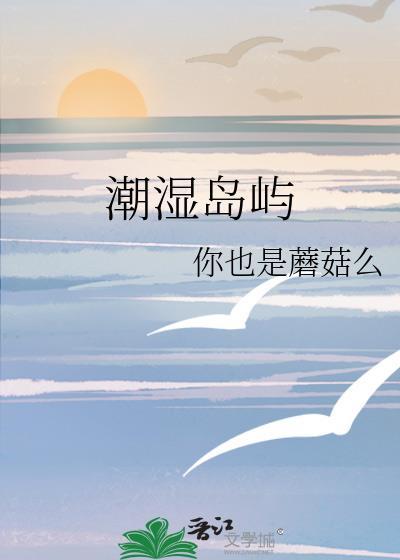 潮湿港岸