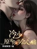 冷少是谁