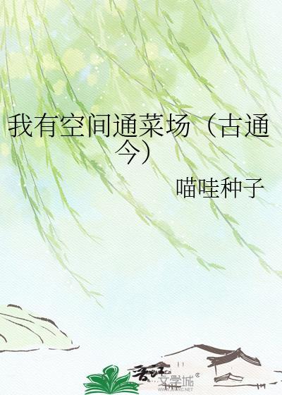 我有空间通菜场全文