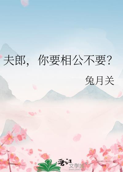 夫郎你要相公不评论