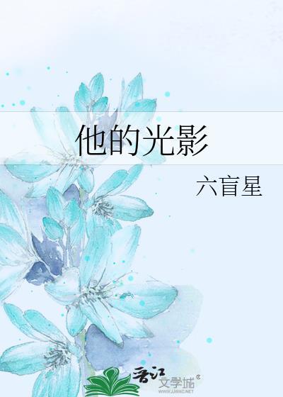 他的光影 六盲星讲的什么