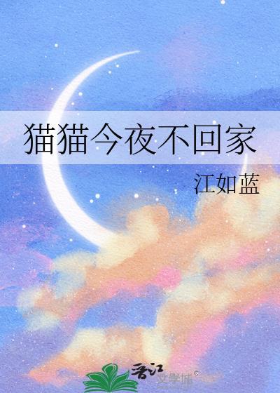 猫半夜不回家怎么办?