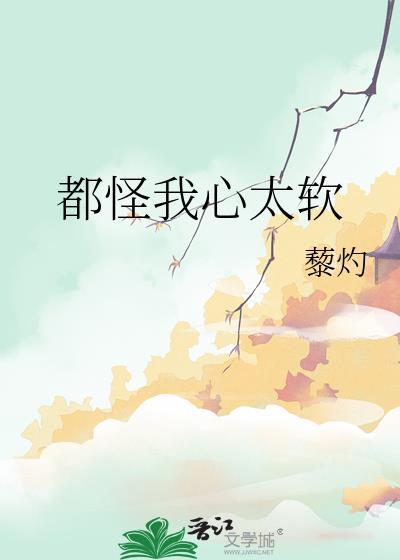 都怪我心太软这首歌