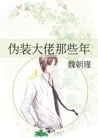 假装大佬