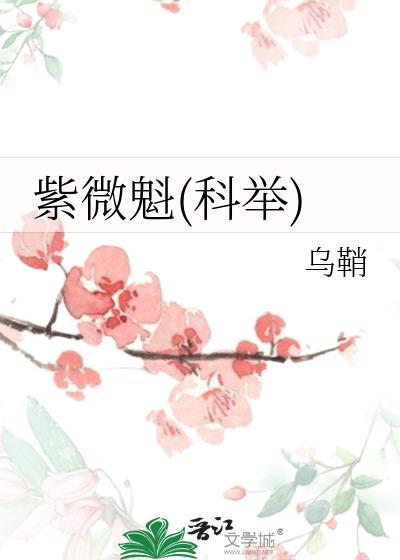 紫微全部格局