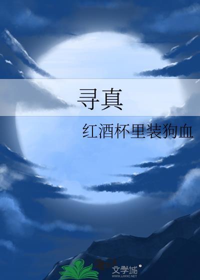寻真断案电视剧