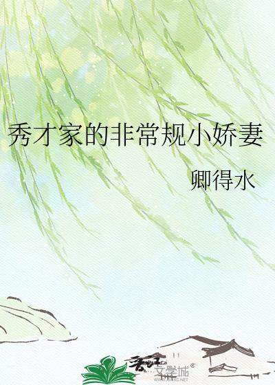 秀才家的非常规小娇妻作者