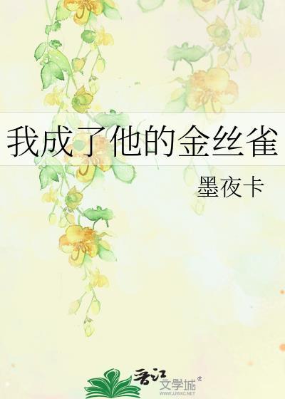 我成了对象的金丝雀免费阅读