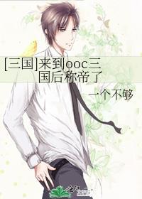 从三国开始穿越的