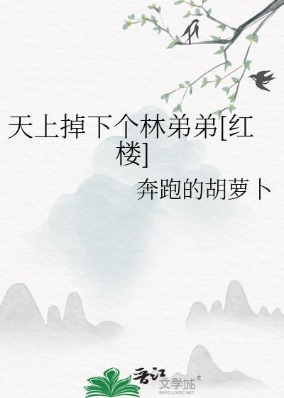 天上掉下个林叔叔[红楼 清穿