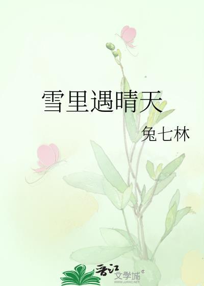 雪里遇晴天讲什么