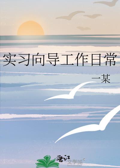 向导的工作内容