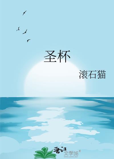 圣杯骑士