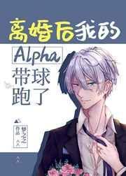 离婚之后我的alpha怀孕了