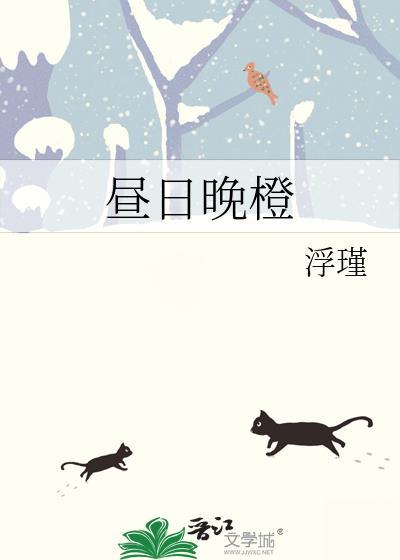 昼日晚橙盘txt